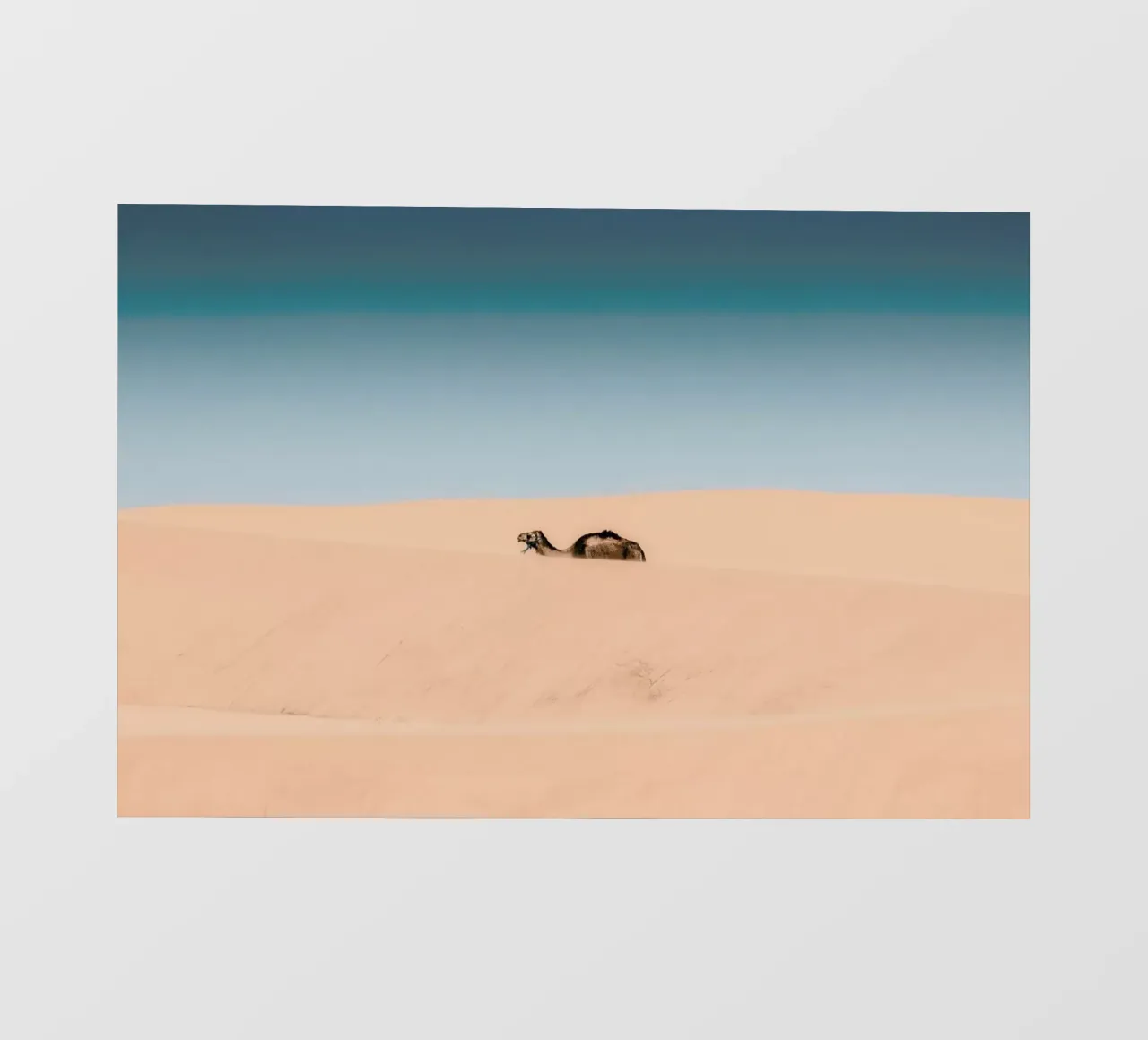 Lone Camel telo in pvc da EyeEm Mobile GmbH