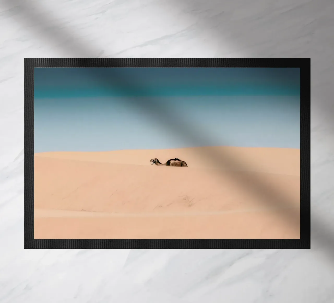 Lone Camel zerbino da EyeEm Mobile GmbH