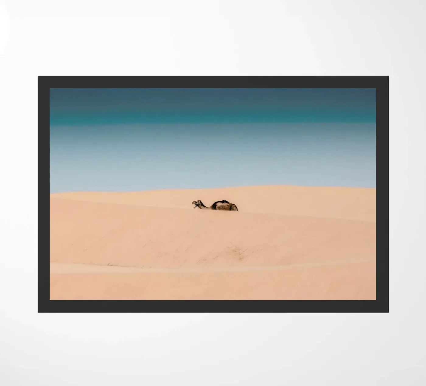 Lone Camel Fußmatte von EyeEm Mobile GmbH