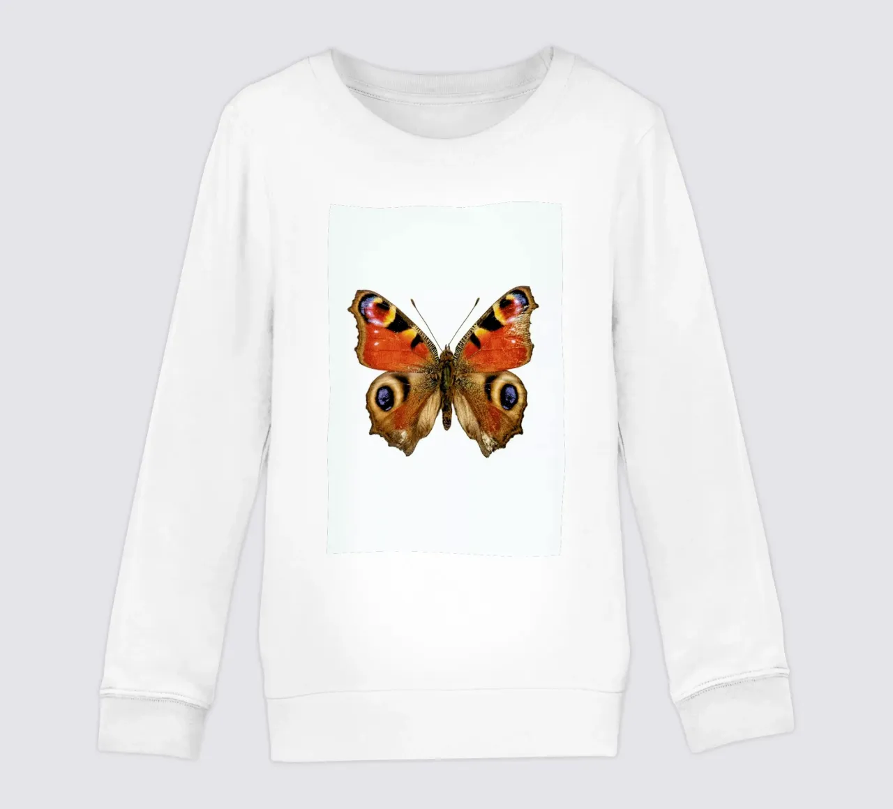 Butterfly felpa bambino da Curious Collections by Marielle Leenders
