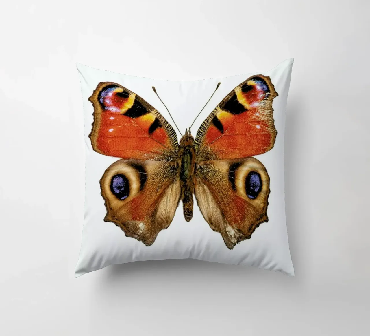 Butterfly cuscino da Curious Collections by Marielle Leenders