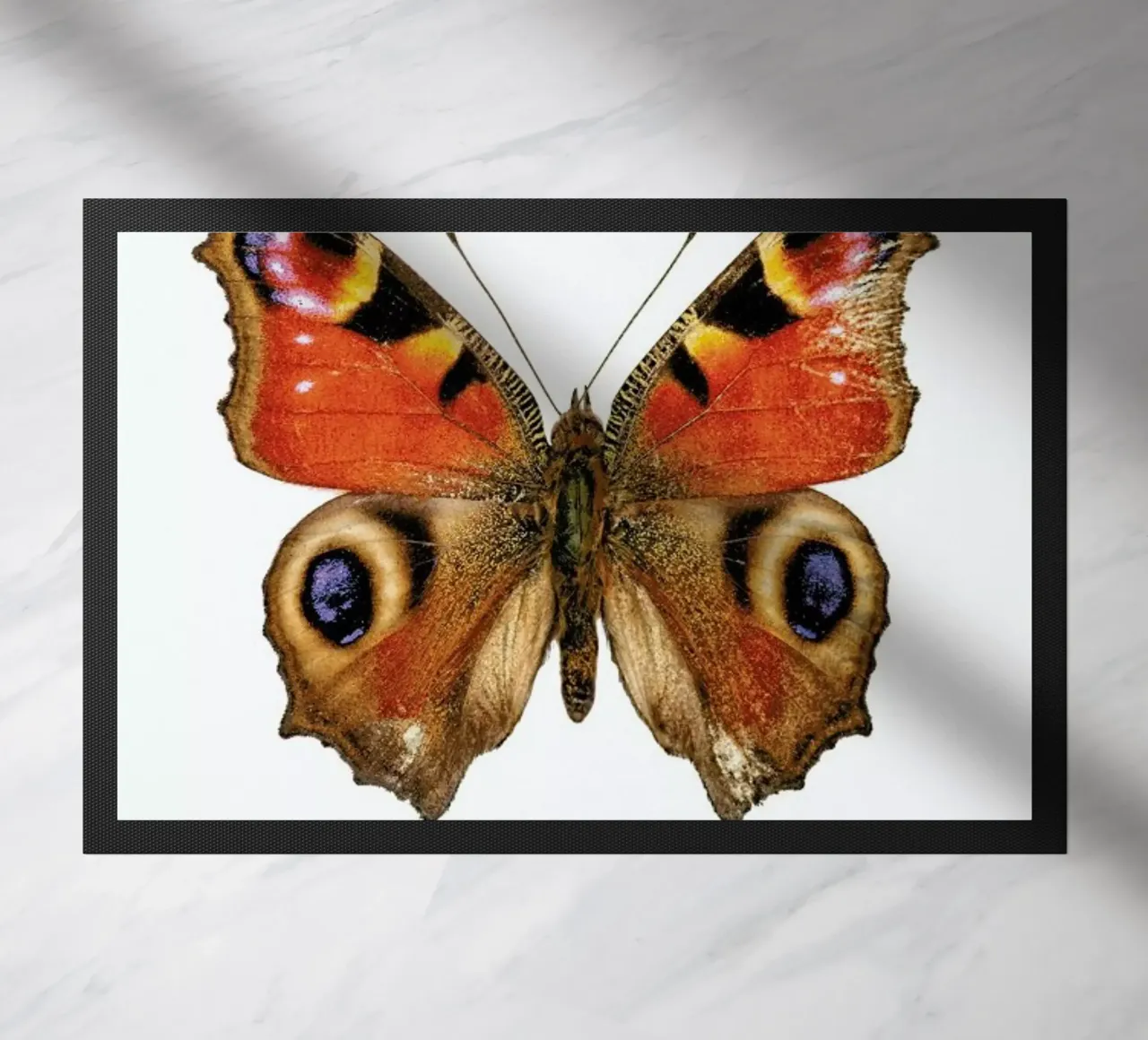 Butterfly zerbino da Curious Collections by Marielle Leenders