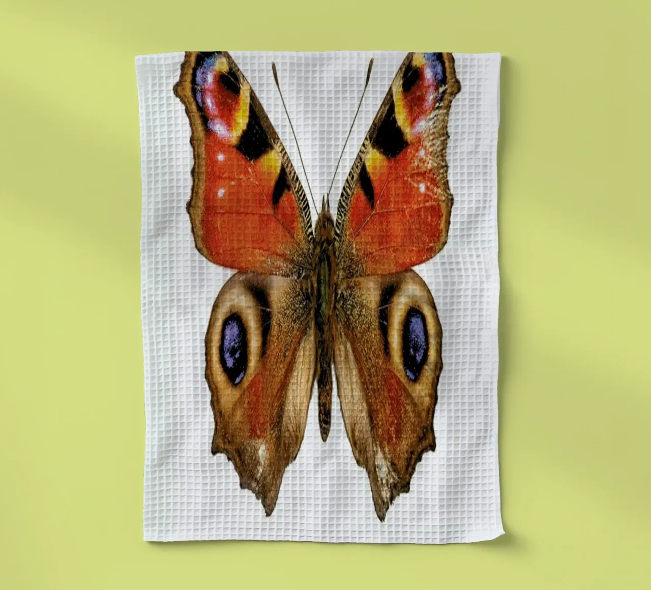 Butterfly canovaccio da cucina da Curious Collections by Marielle Leenders