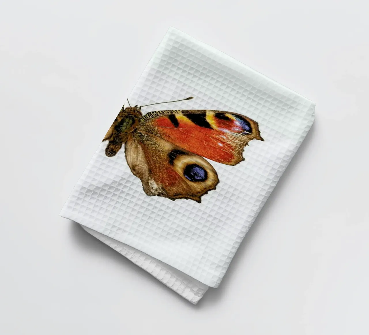 Butterfly canovaccio da cucina da Curious Collections by Marielle Leenders