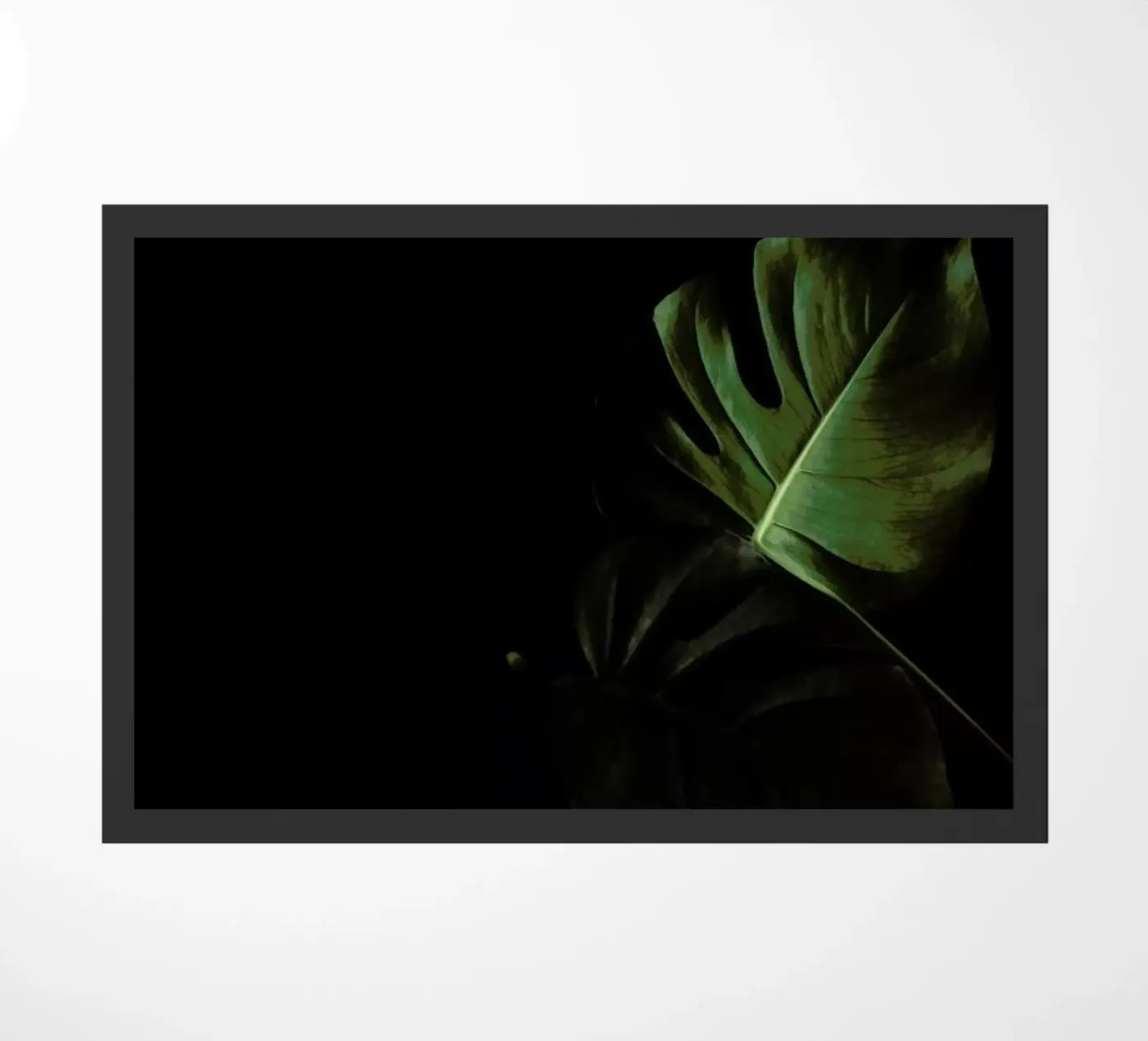 Moody Monstera zerbino da Studio Nahili