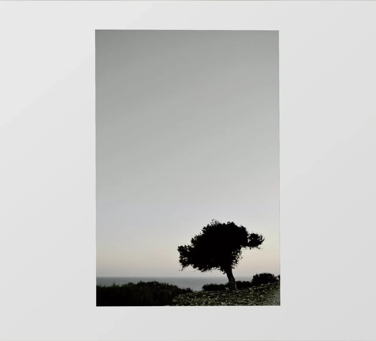 Calm View pellicola backlit da Studio Nahili