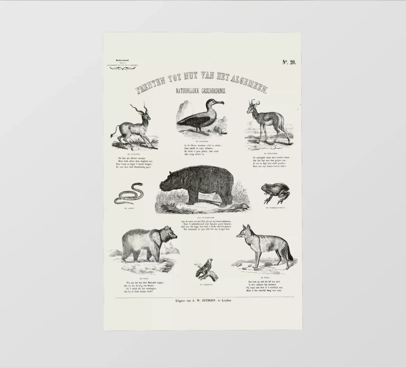 Animals Chart pellicola backlit da Astër