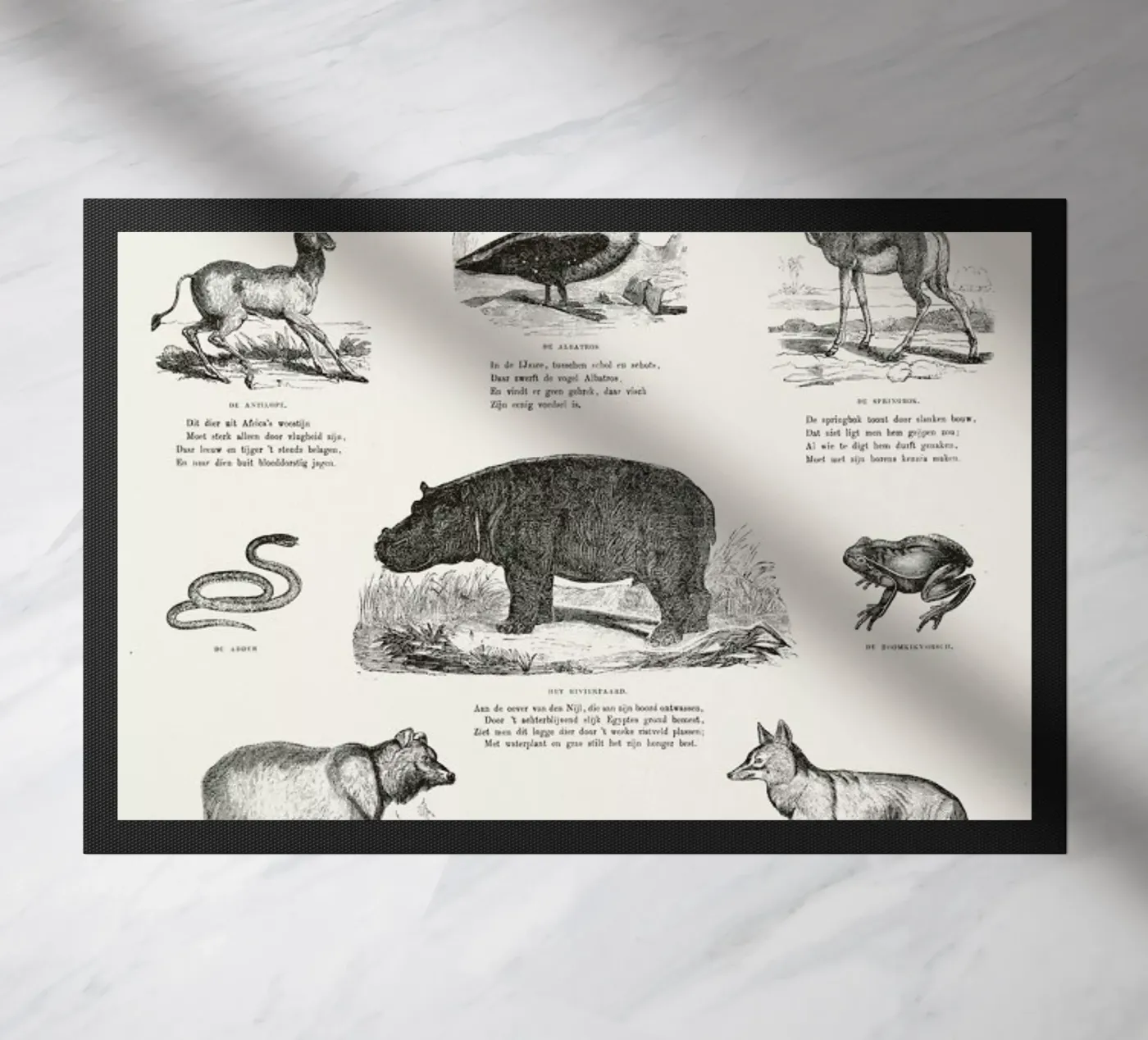 Animals Chart deurmat van Astër