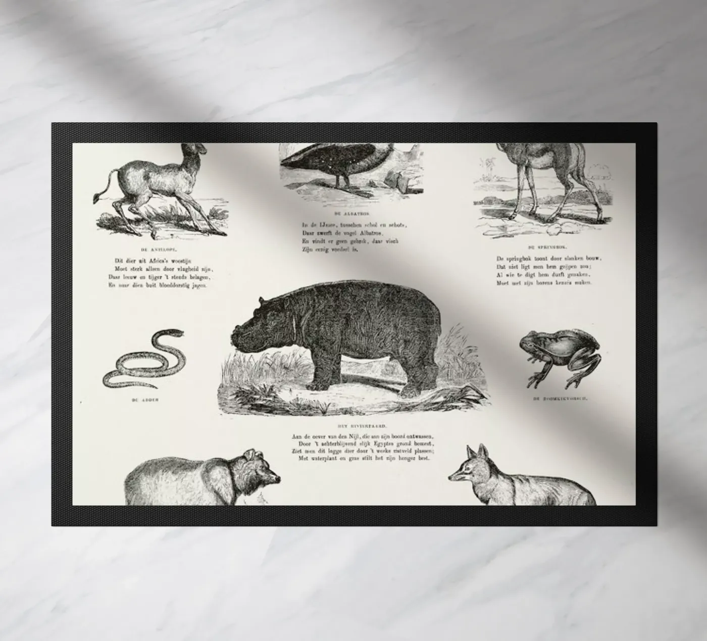 Animals Chart deurmat van Astër