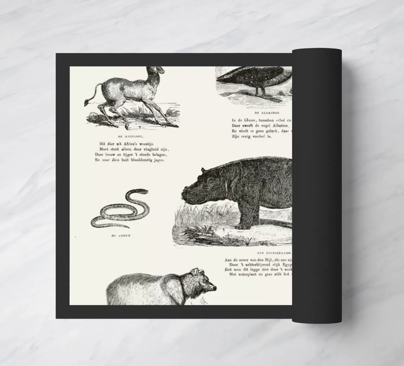 Animals Chart deurmat van Astër