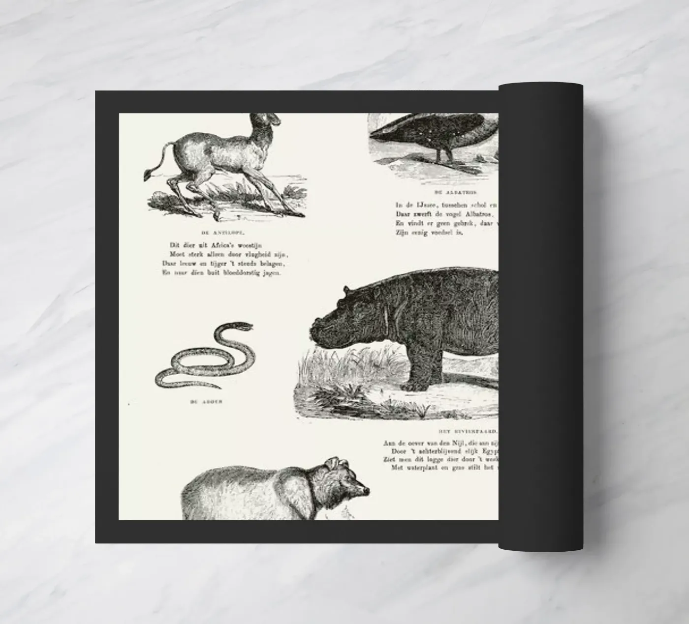 Animals Chart deurmat van Astër