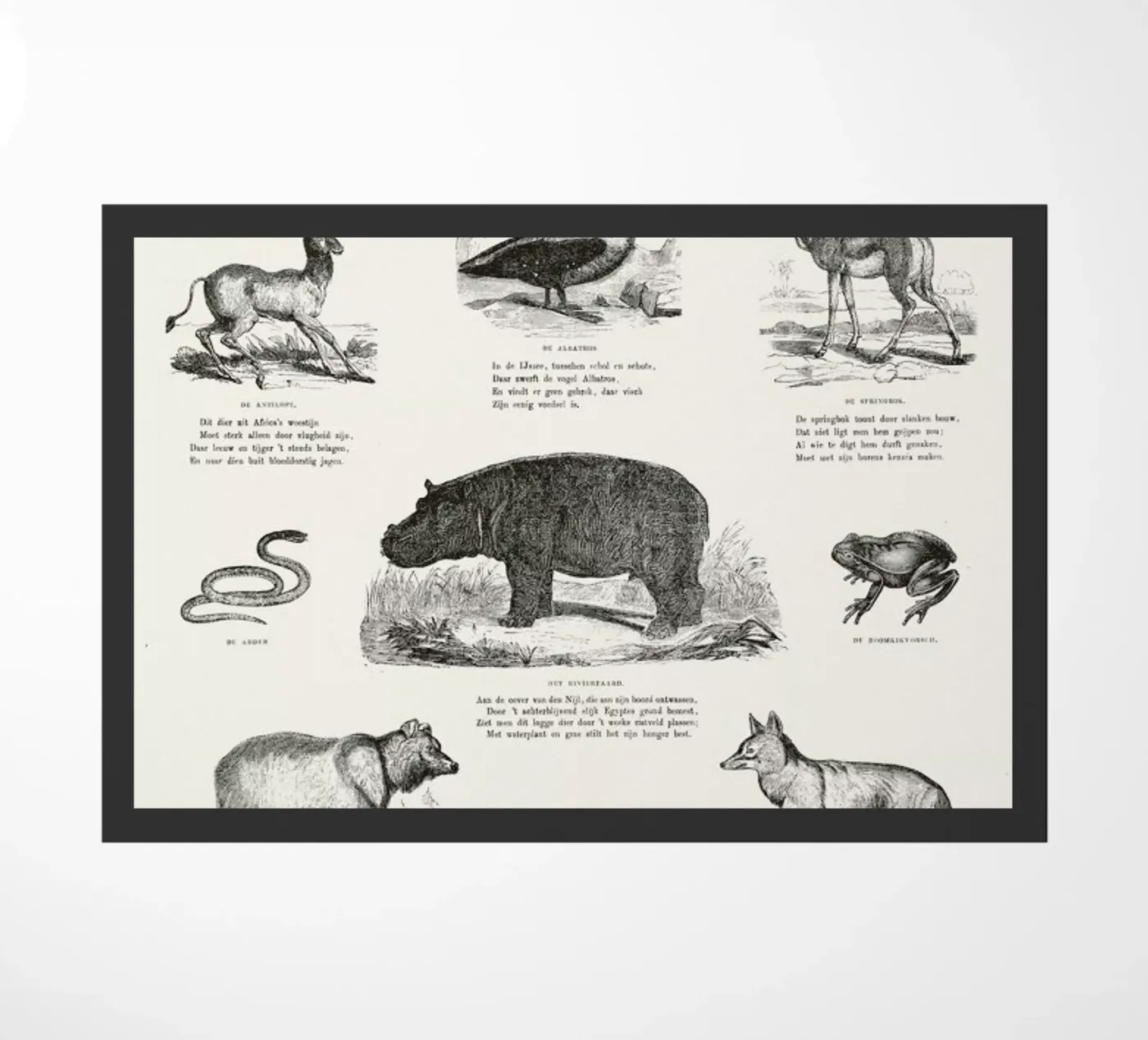 Animals Chart deurmat van Astër
