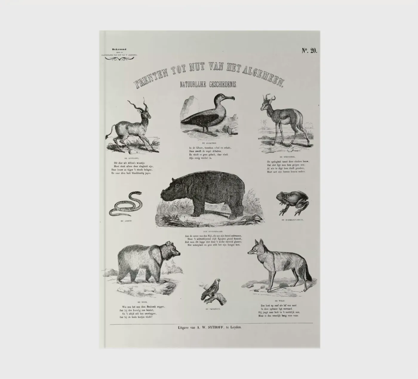 Animals Chart notebook by Astër