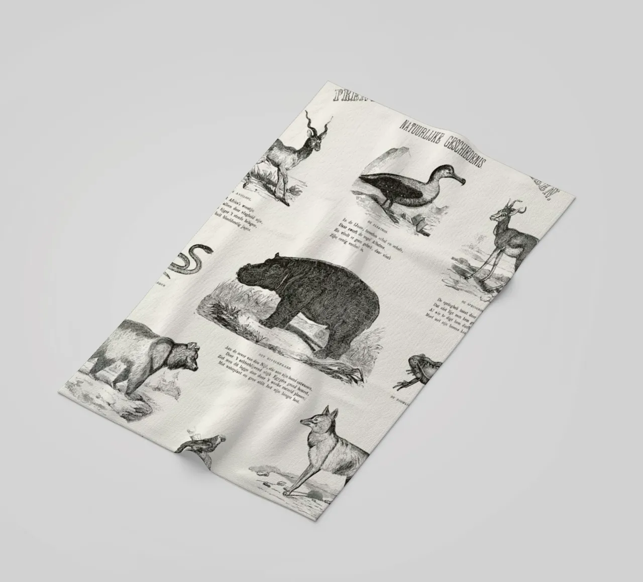 Animals Chart telo mare da Astër