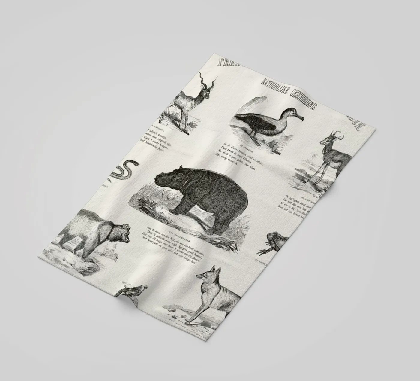 Animals Chart telo mare da Astër