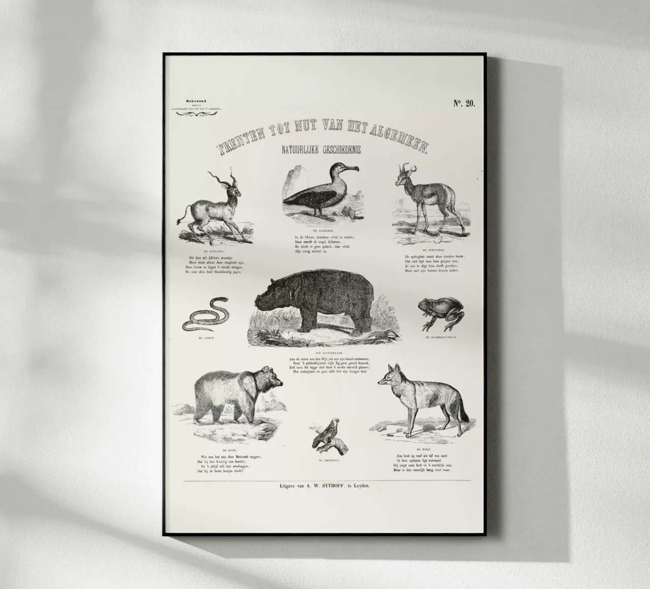 Animals Chart plexiglass da Astër