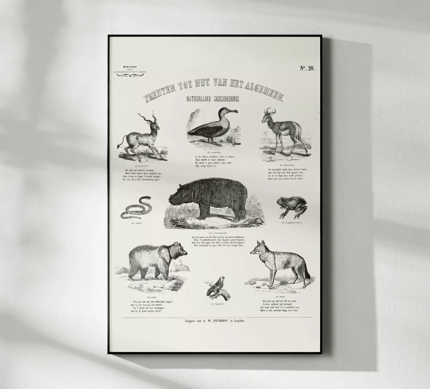 Animals Chart plexiglas de Astër