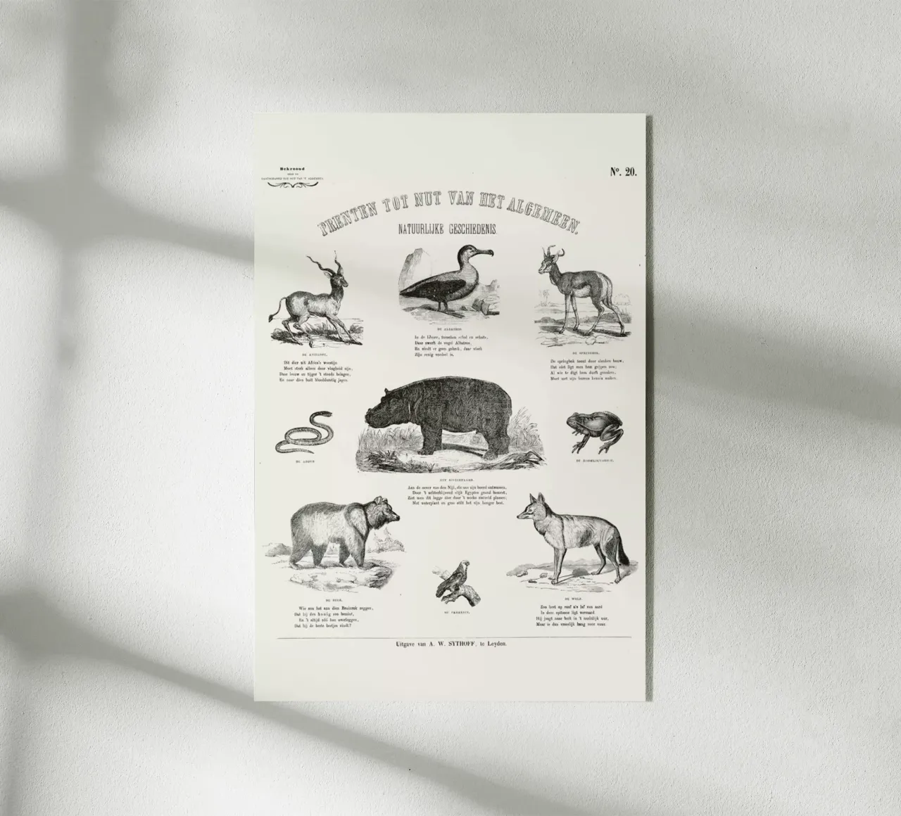 Animals Chart plexiglass da Astër