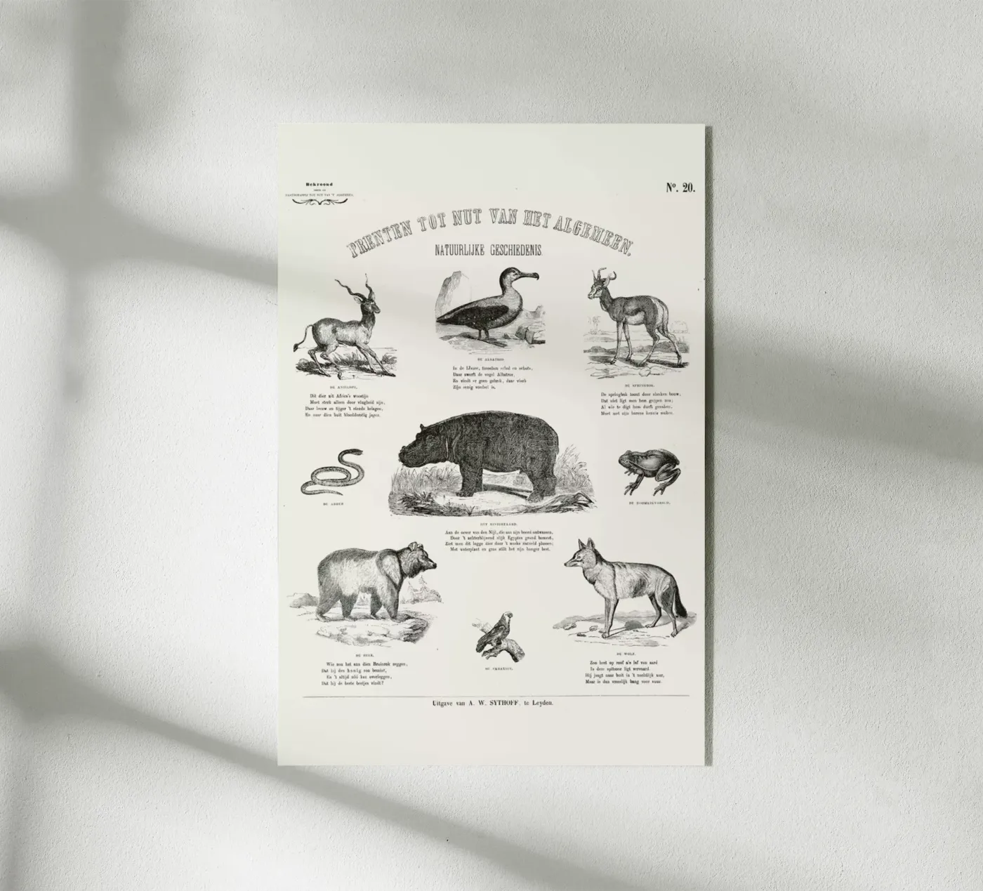 Animals Chart plexiglas de Astër