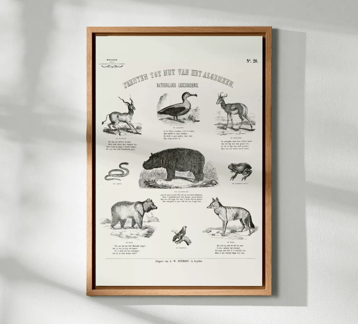 Animals Chart alluminio dibond da Astër