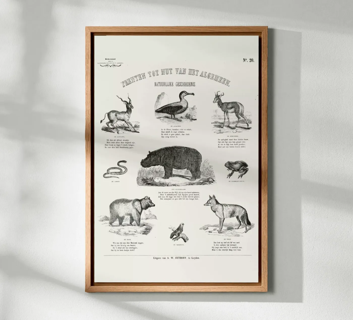 Animals Chart pannello forex da Astër