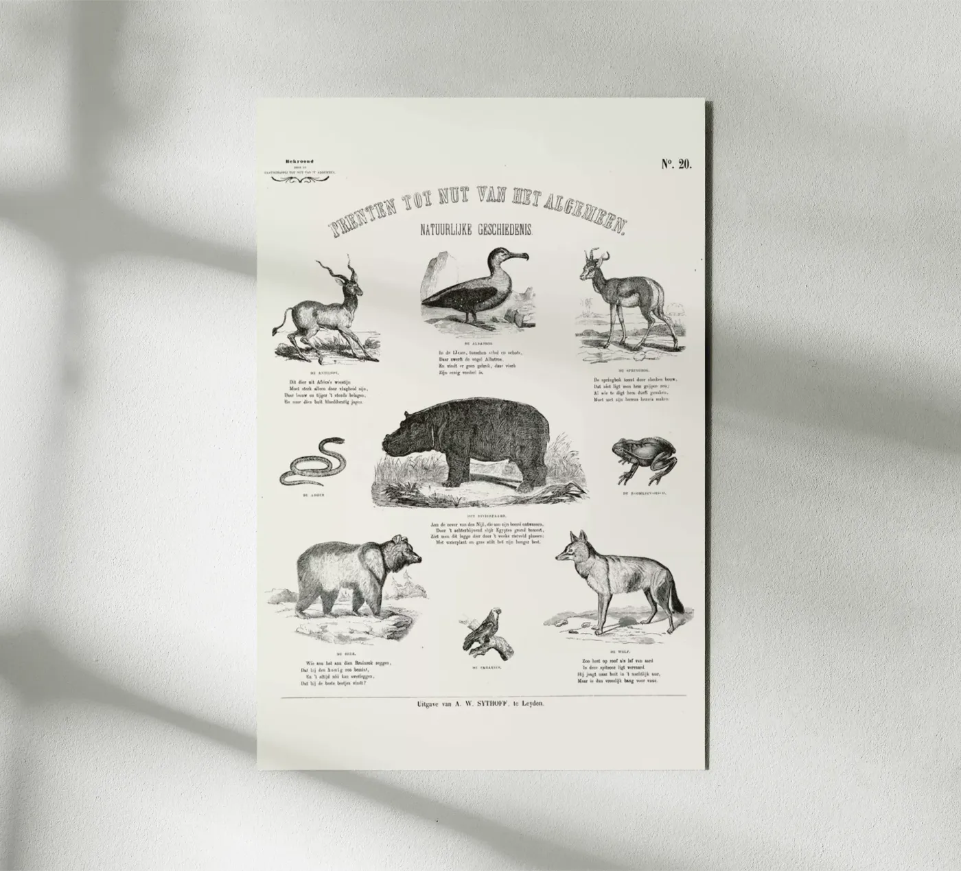 Animals Chart alluminio dibond da Astër