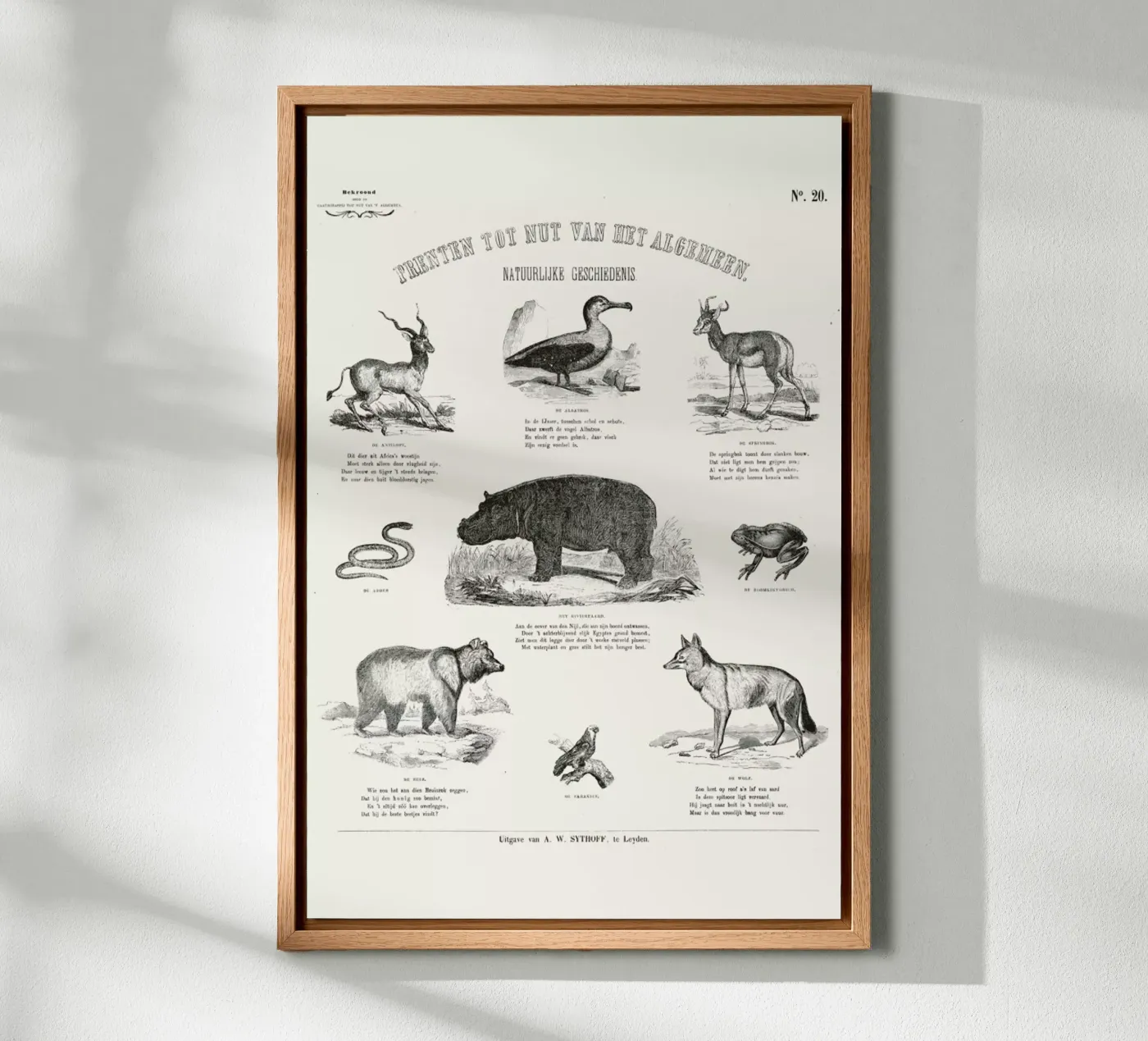 Animals Chart canvas van Astër