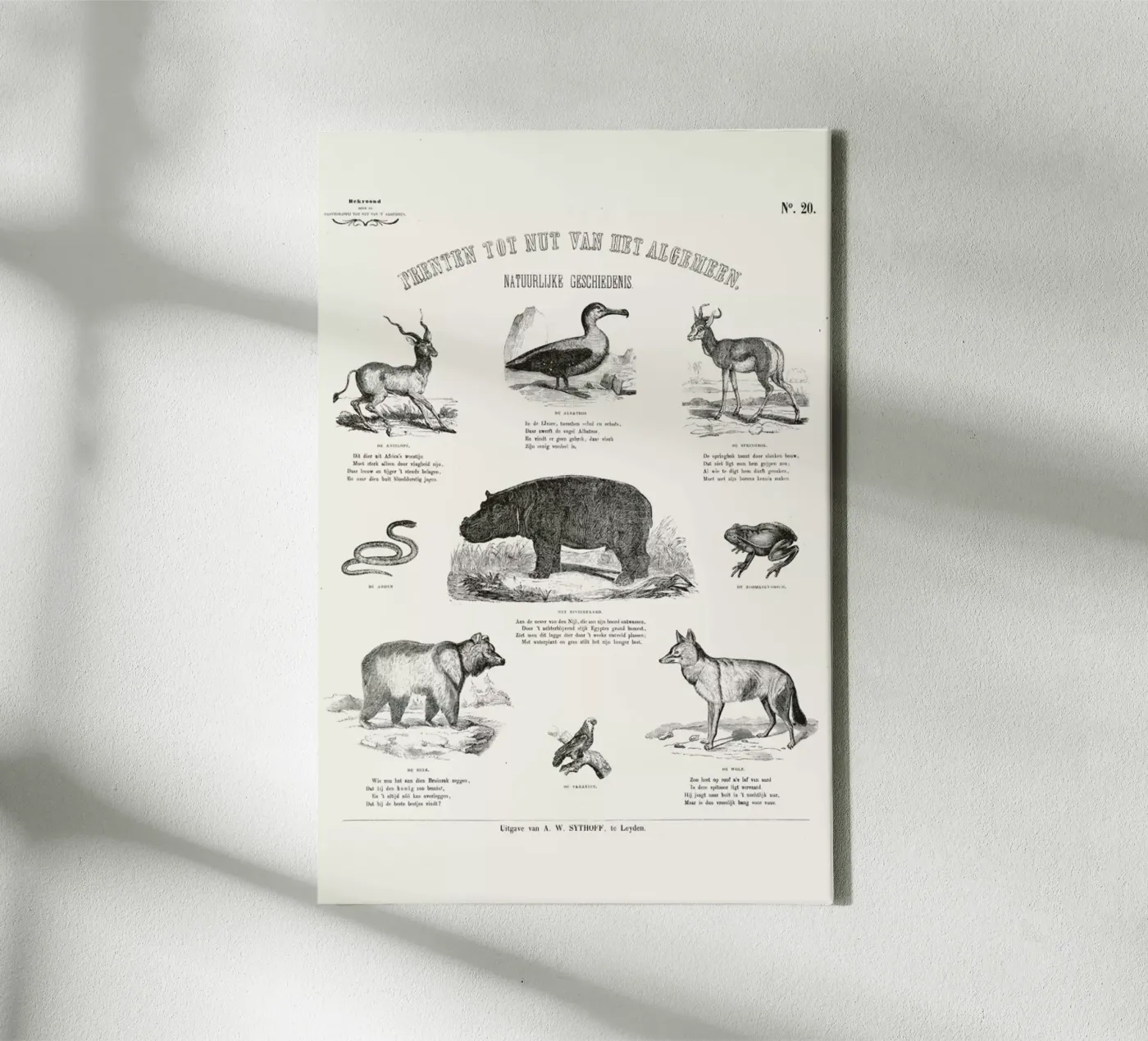 Animals Chart canvas van Astër