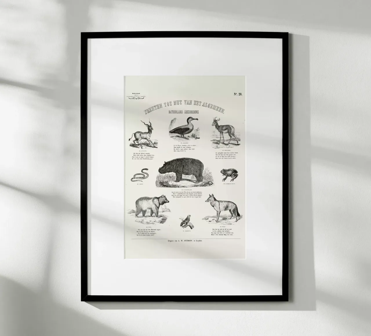 Animals Chart poster con telaio in plastica da Astër