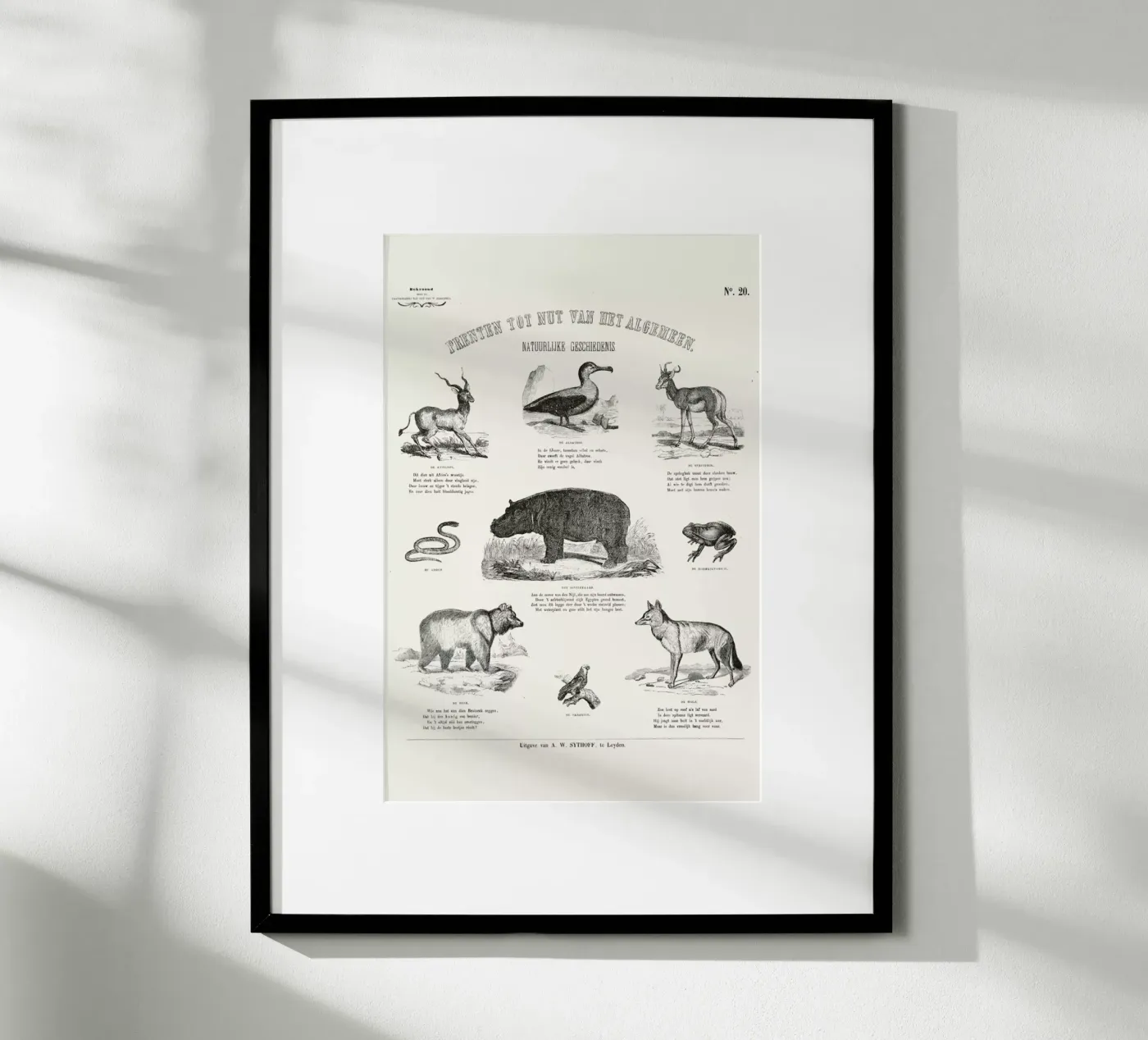 Animals Chart poster van Astër