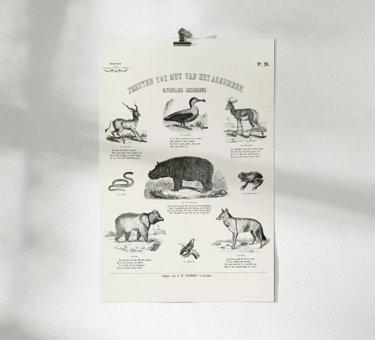 Animals Chart poster con telaio in plastica da Astër