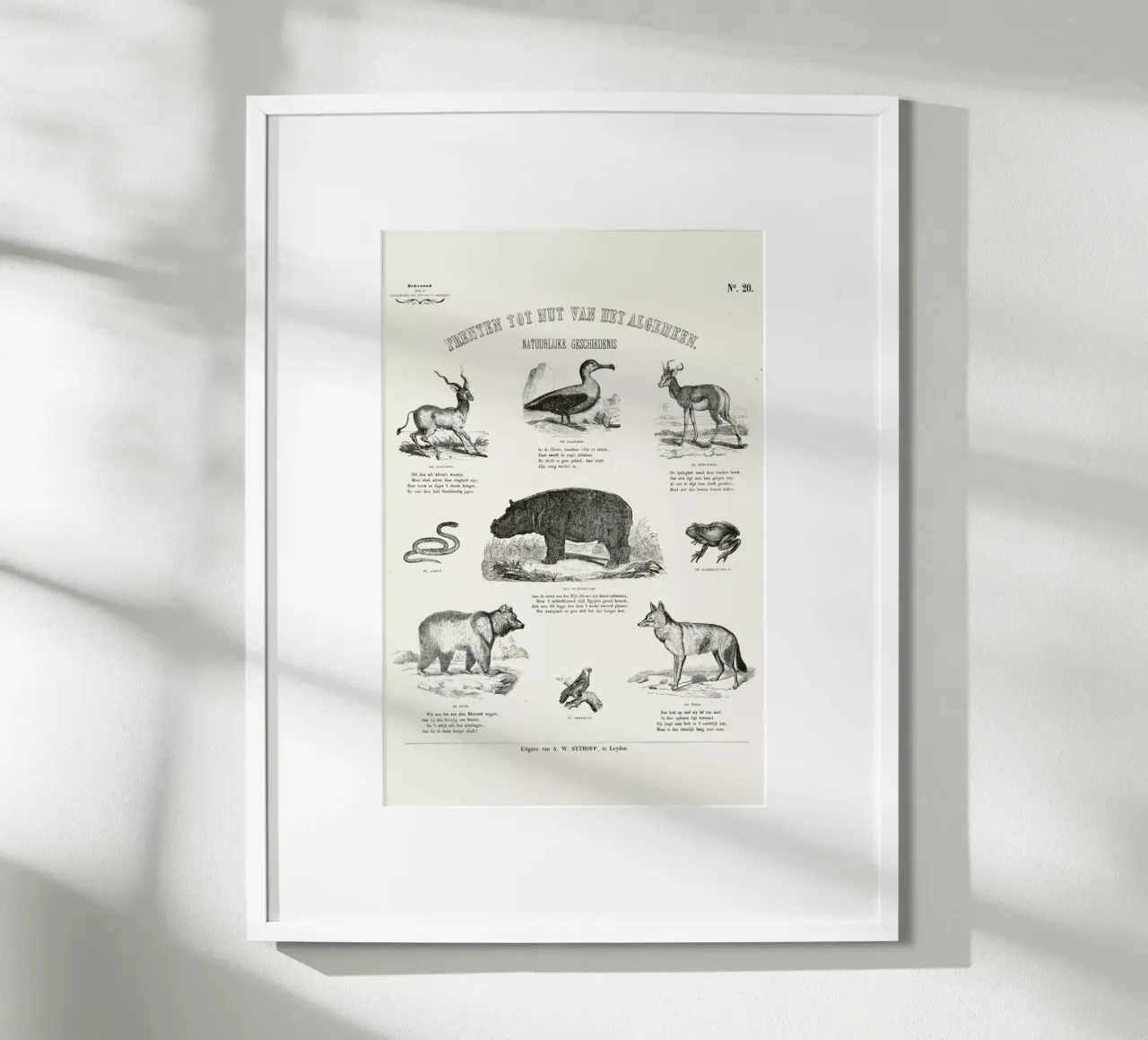 Animals Chart poster con telaio in plastica da Astër