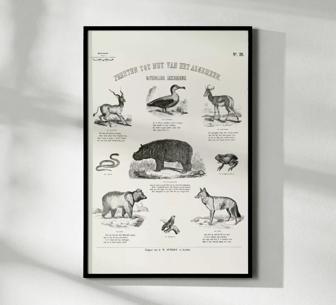 Animals Chart poster con telaio in plastica da Astër