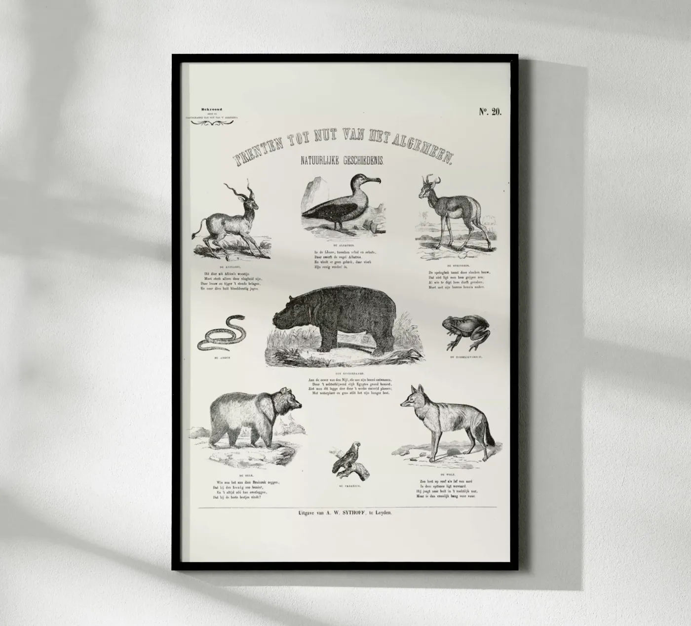 Animals Chart poster van Astër