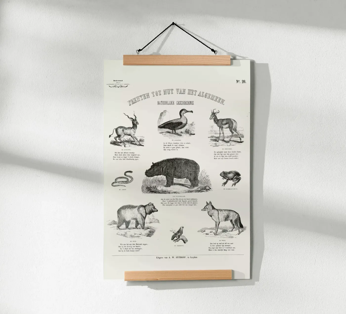 Animals Chart poster van Astër