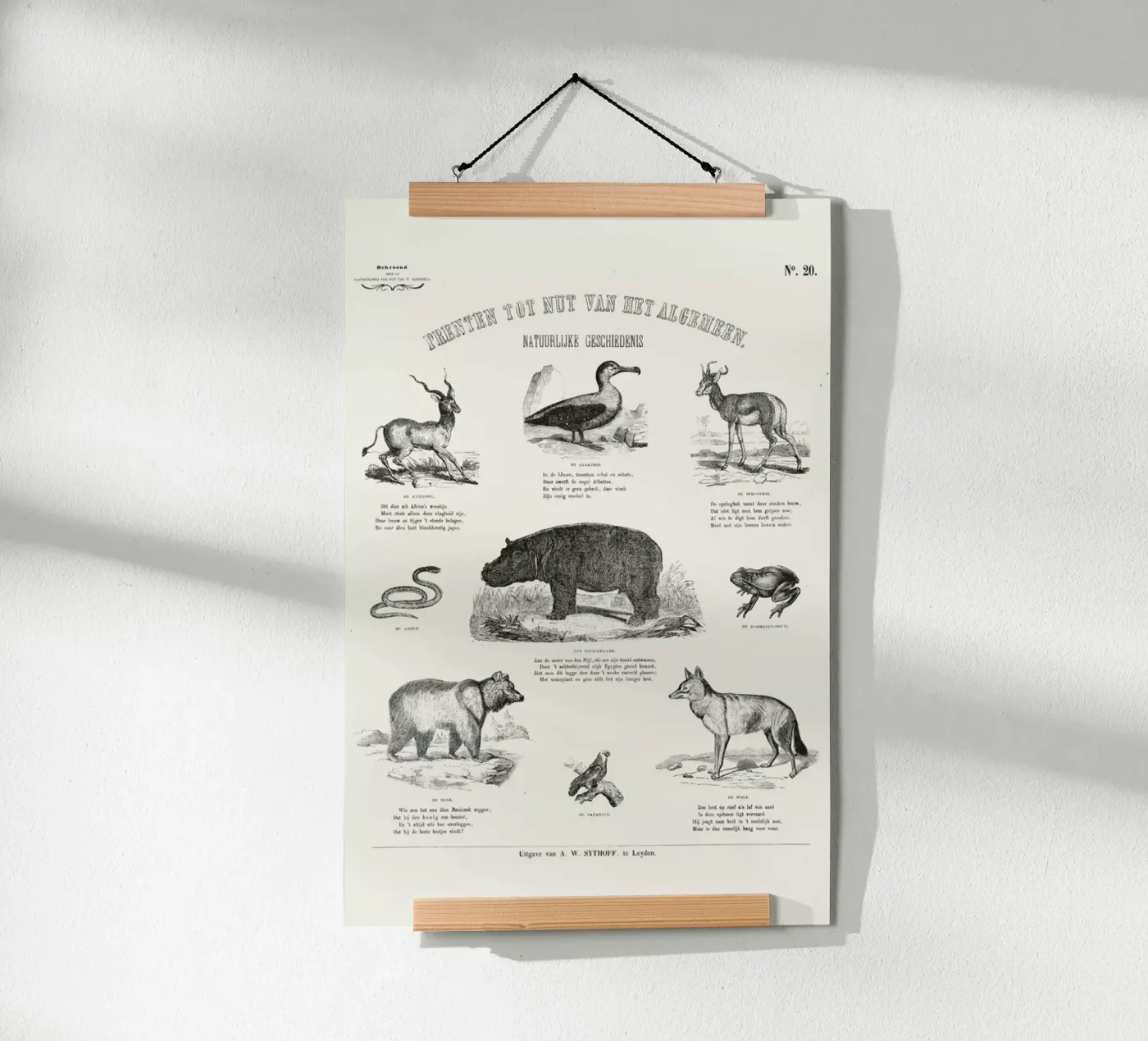 Animals Chart poster da Astër