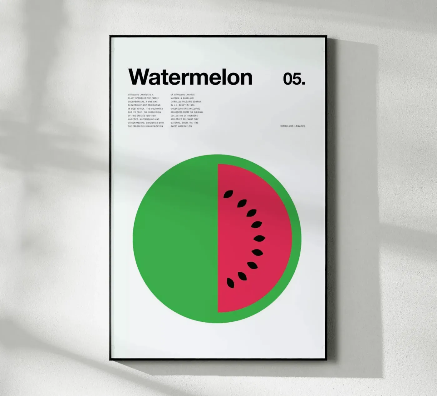 Watermelon acryl van Nick Barclay