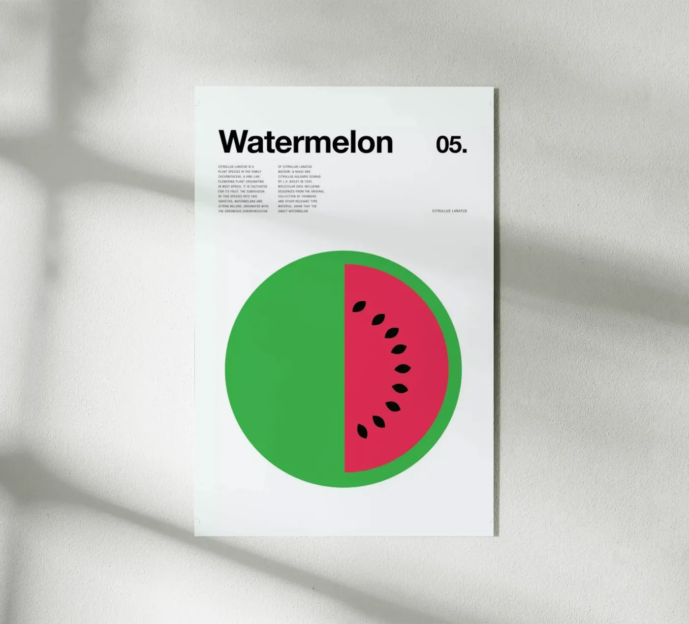Watermelon acryl van Nick Barclay