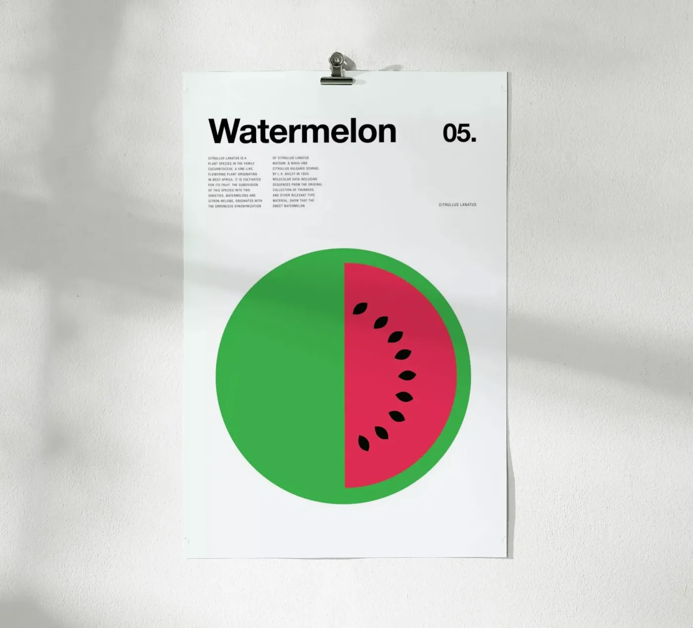 Watermelon Poster von Nick Barclay