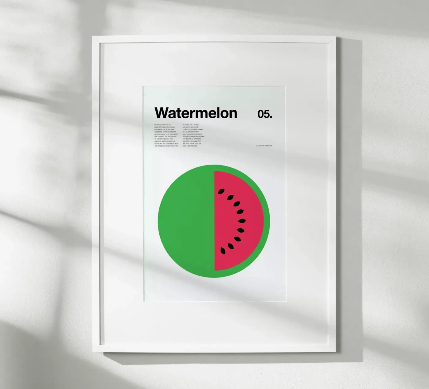 Watermelon Poster von Nick Barclay