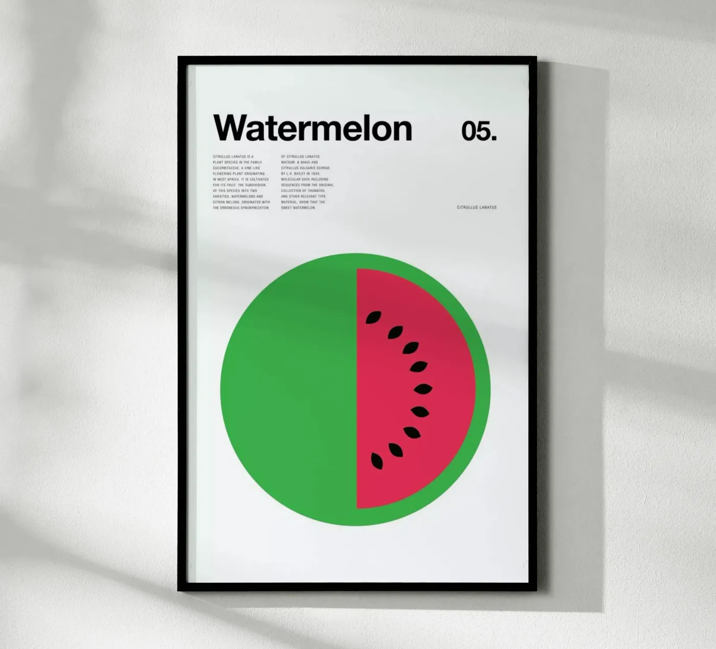 Watermelon Poster von Nick Barclay