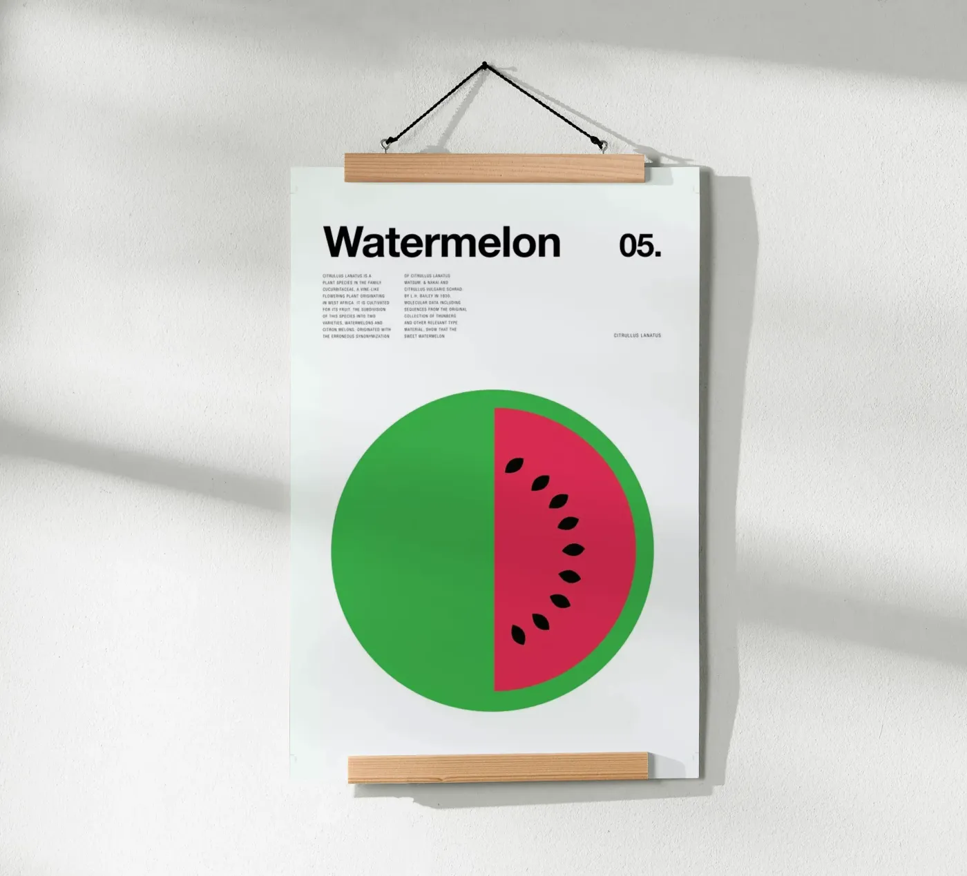 Watermelon Poster von Nick Barclay