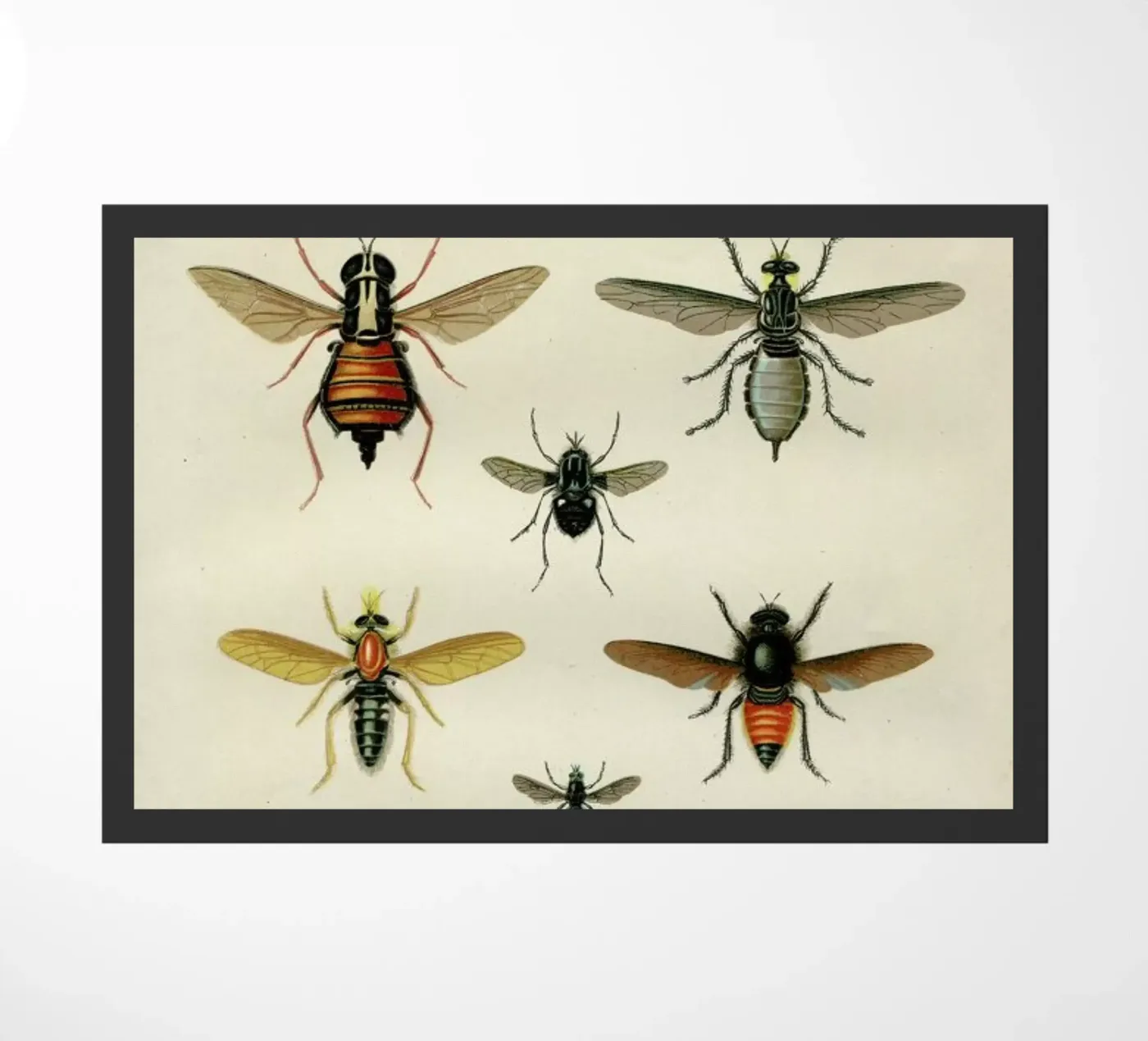 Insects II deurmat van Flora & Fauna