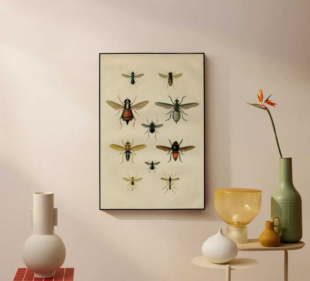 Insects II plexiglass da Flora & Fauna