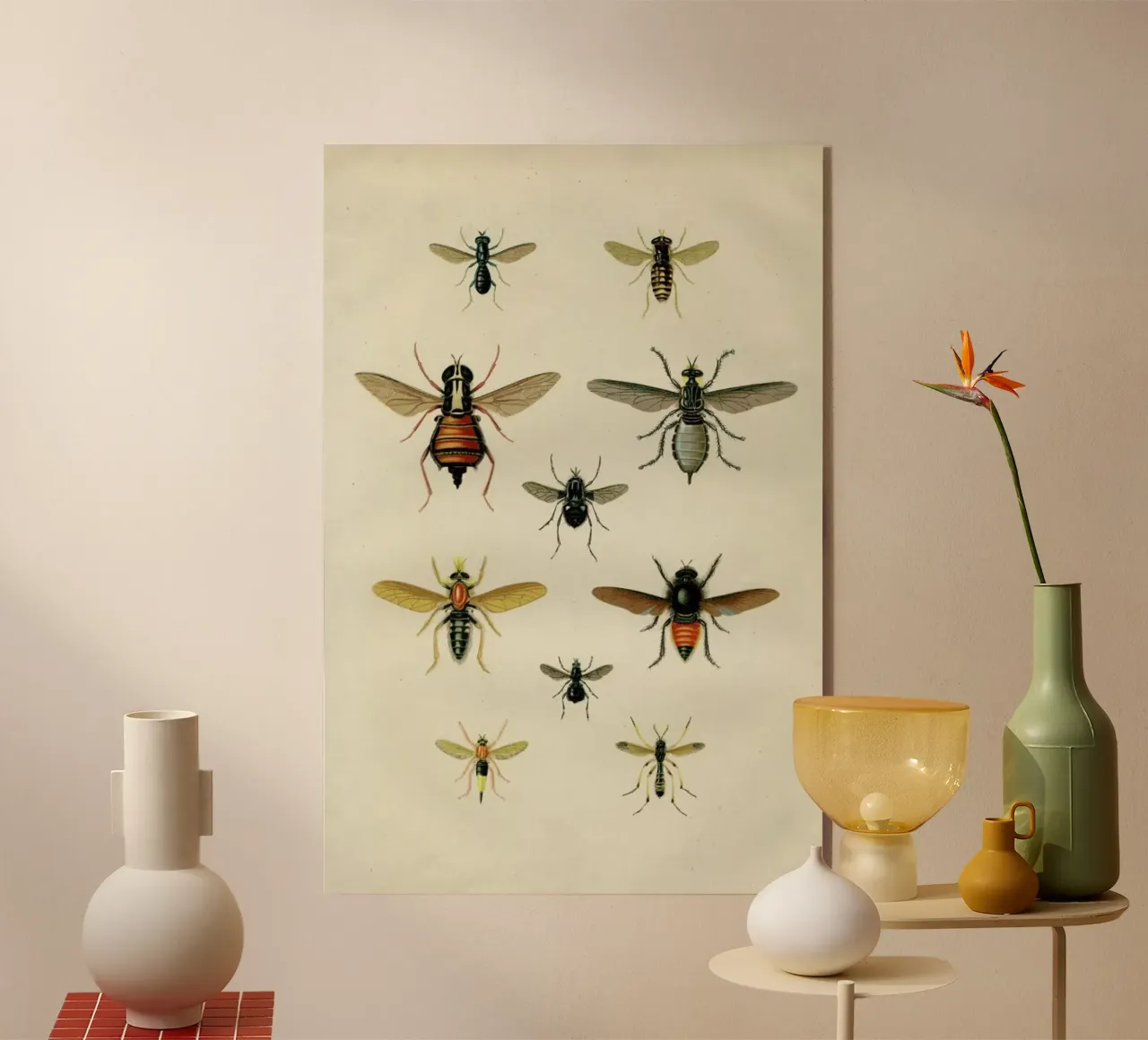 Insects II acrylic glass by Flora & Fauna