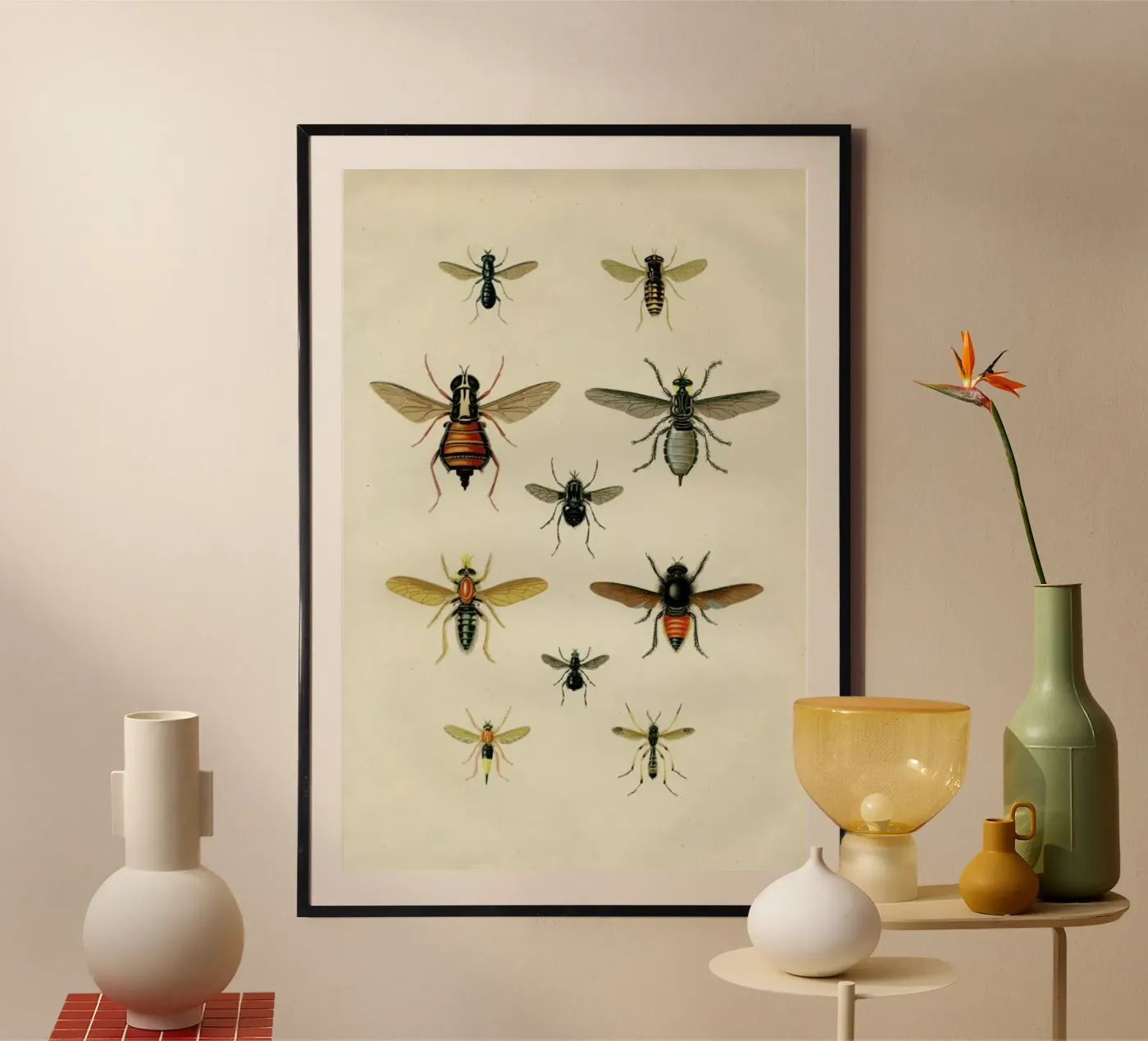 Insects II poster da Flora & Fauna