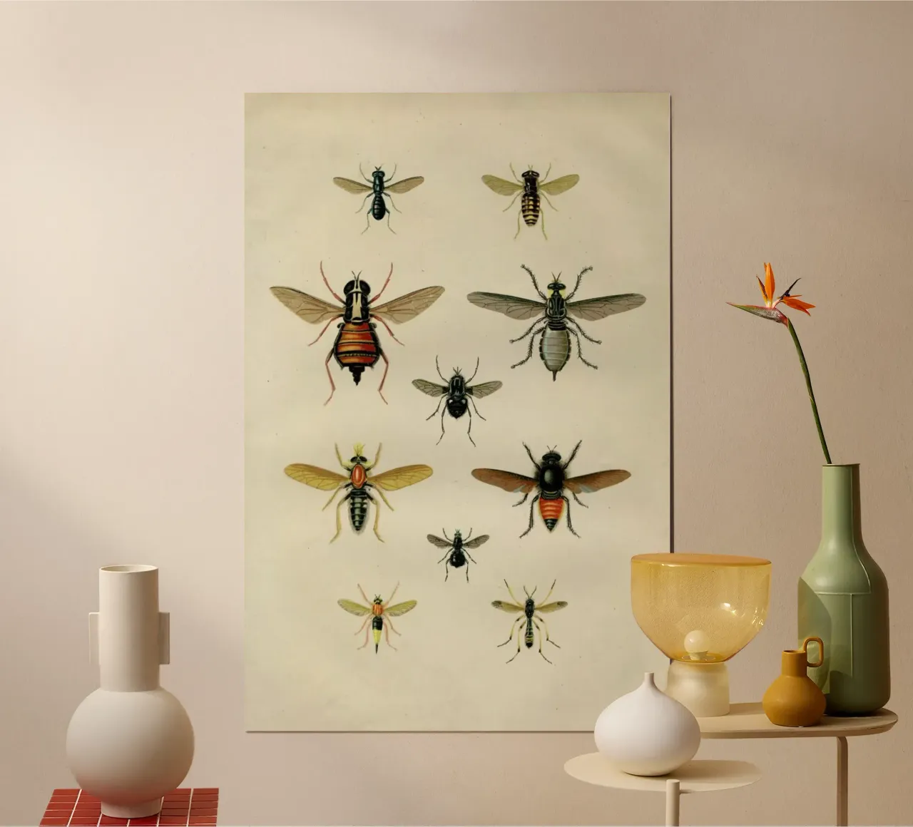 Insects II poster da Flora & Fauna