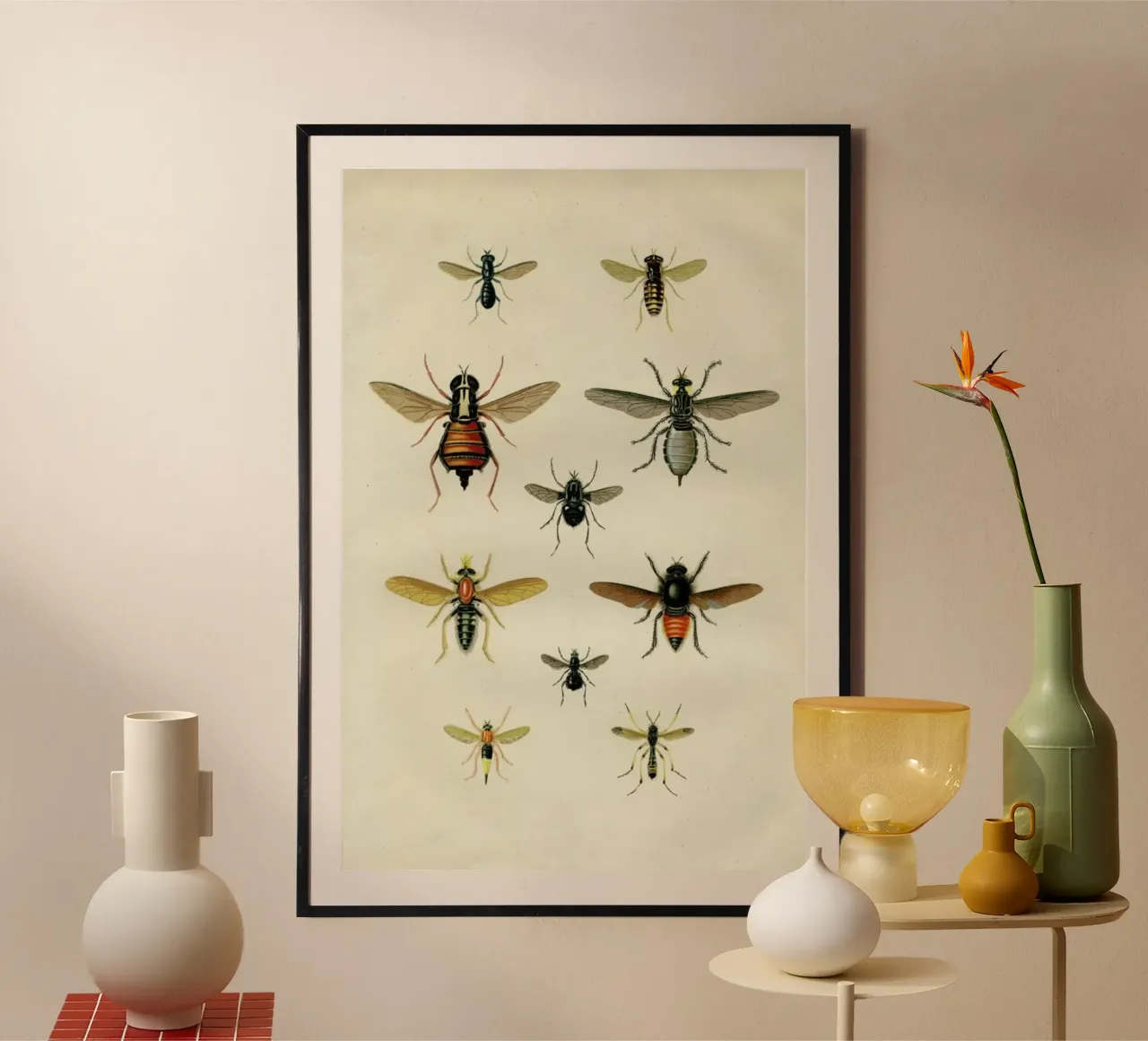 Insects II poster da Flora & Fauna