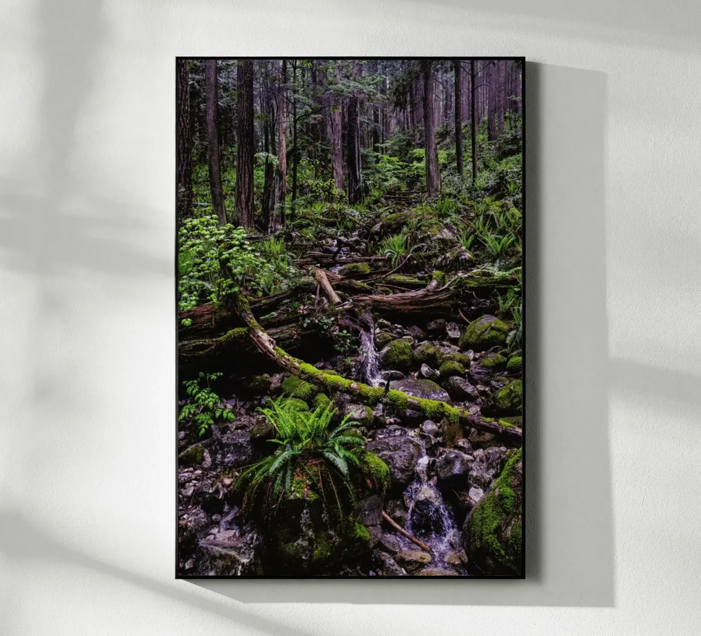 Canada 1 acryl van Philipp Reinhard