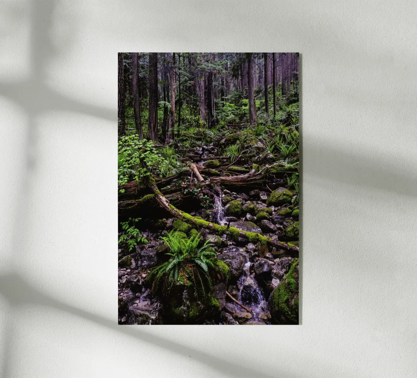 Canada 1 acryl van Philipp Reinhard